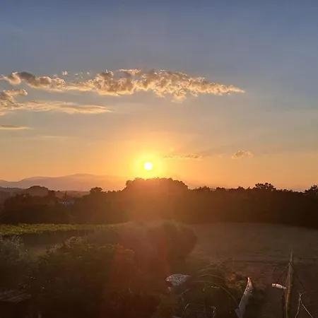 Masseria Cavalieri アパート